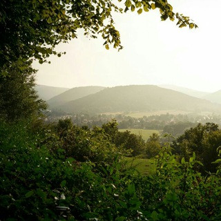 Landscapes - Real Telegram