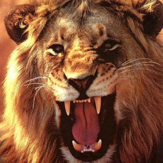 Legend calls - Real Telegram