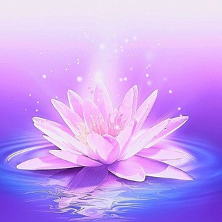 Meditation and relaxing music - Real Telegram