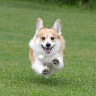 Me_irl - Real Telegram