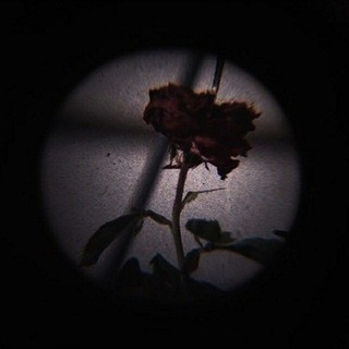 Motivational |QUOTES ️ - Real Telegram