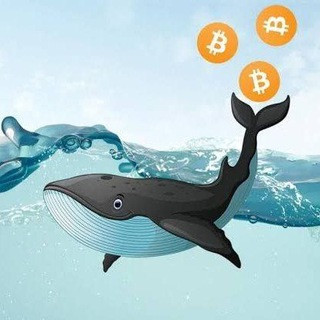 MrWhale Crypto - Real Telegram