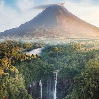 Nature Is Lit - Real Telegram