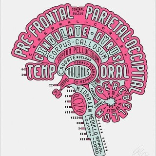 Neuroscience - Real Telegram