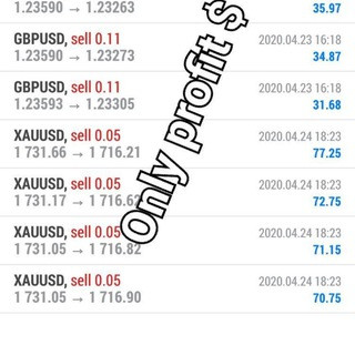 Only Profit $ - Real Telegram