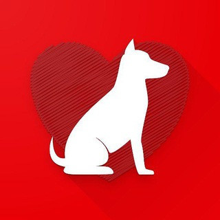 PetYaari Veterinary Service - Real Telegram