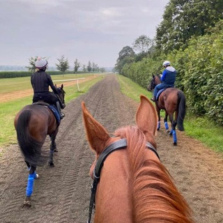 Quantum Tipping FREE - Real Telegram