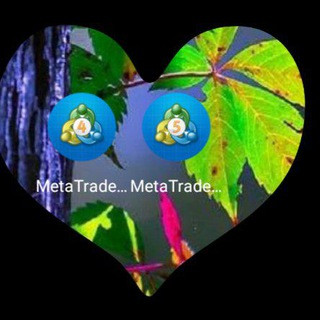 Mt4 mt5 All Signals - Real Telegram