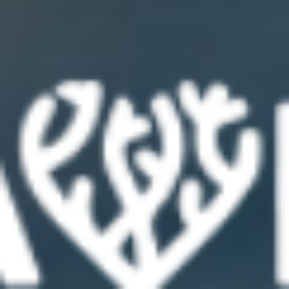 save the Reef coin (Sreef) - Real Telegram