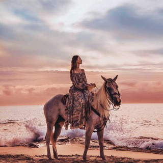 M O D E L S - Real Telegram