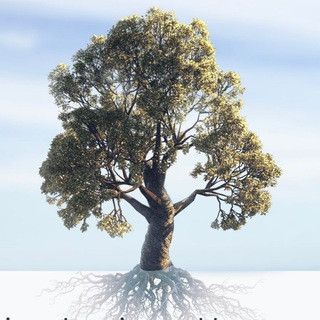 SwiftMetaTrade - Real Telegram