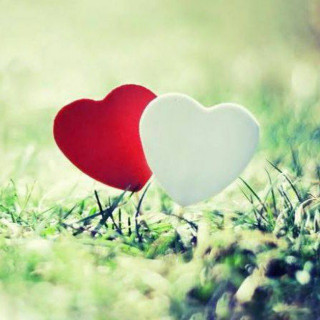 Friends talking group - Real Telegram