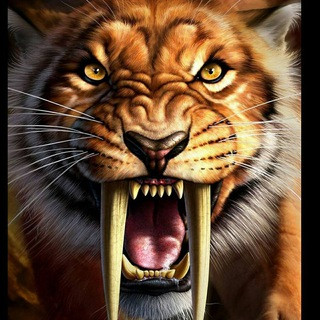 Wonders of nature - Real Telegram