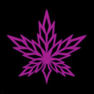 The Blaze Shop News and Updates - Real Telegram