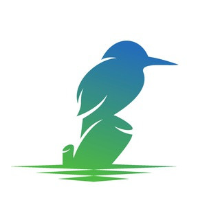 The Kingfisher - Bitcoin & Crypto liquidations signals and analytics - Real Telegram