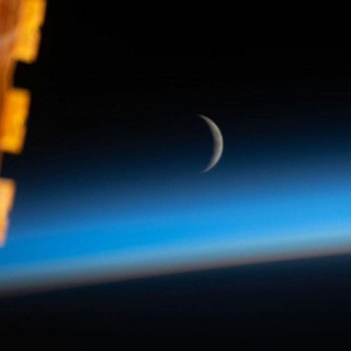 The Sammy move - Real Telegram