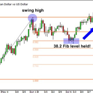 Forex Trading Hub - Real Telegram