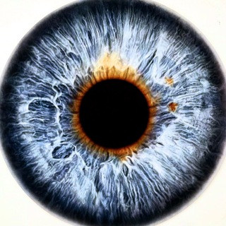 TradingWithStyle™ - Real Telegram