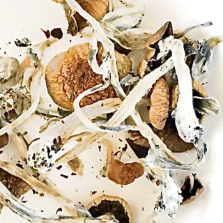 TrippoMania - Real Telegram