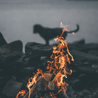 Undernet - Real Telegram