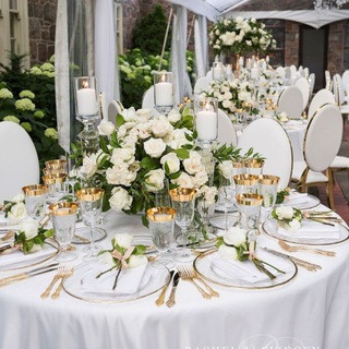 Wedding and events forum - Real Telegram