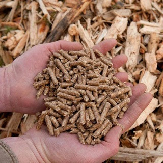 Wood Pelletss - Real Telegram