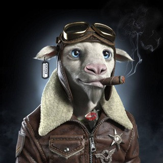 War Goat Signals - Real Telegram